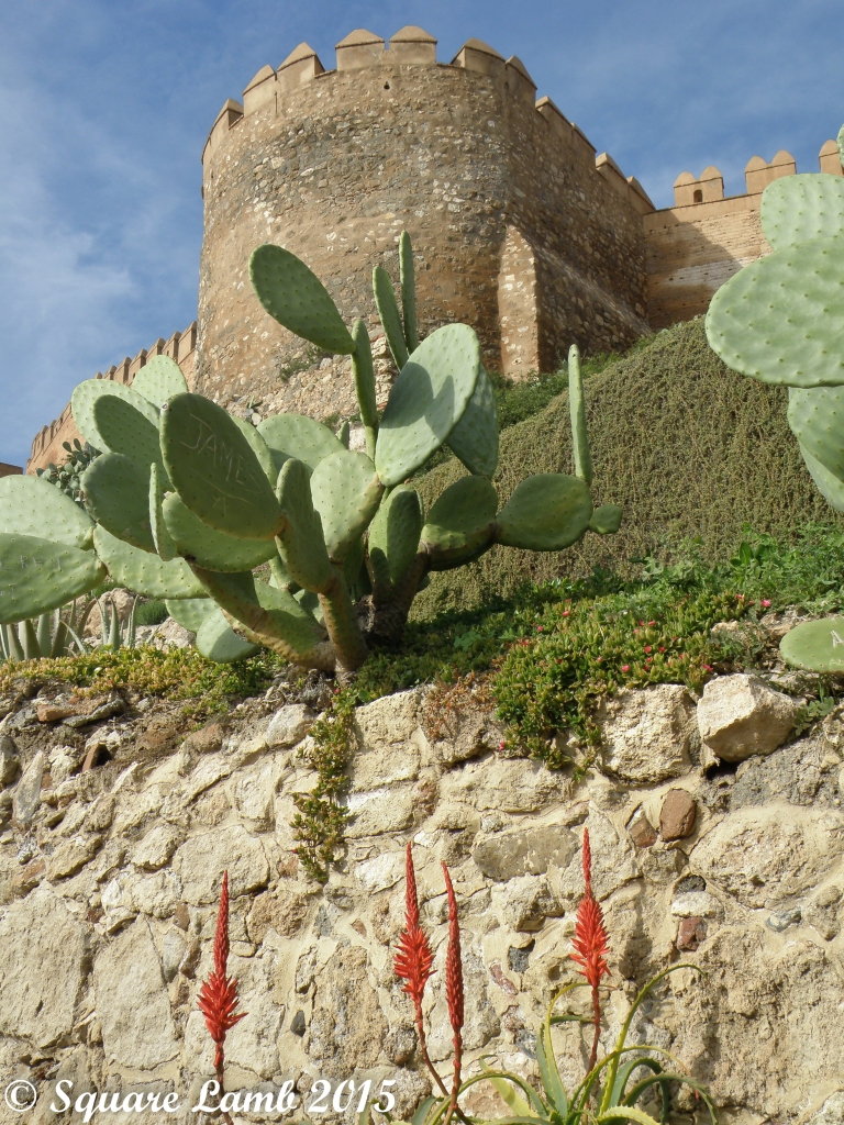 Alcazaba de Almeria, Almeria
